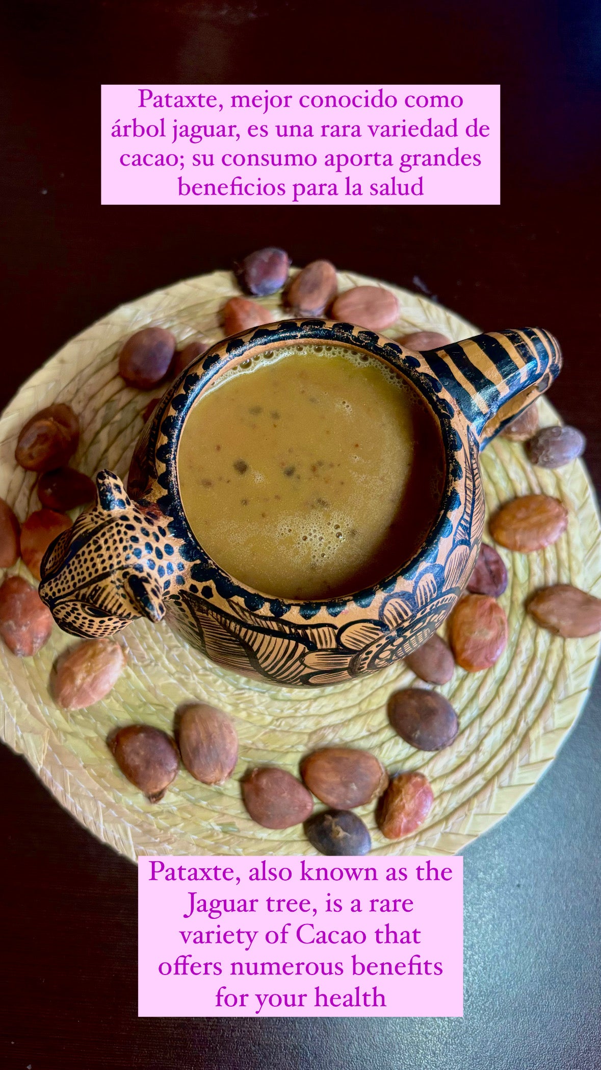 Barra de Pataxte con nibs de cacao