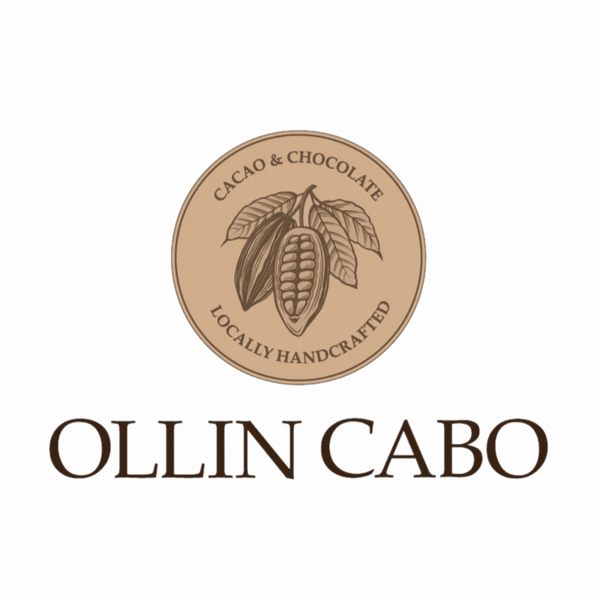 Ollin Cabo Cacao & Chocolate