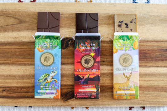 Barra de Chocolate con azúcar de coco 70% cacao