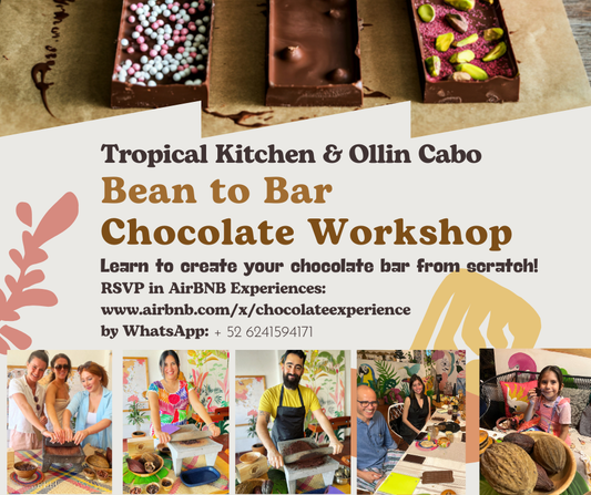 Taller de chocolate Bean to Bar